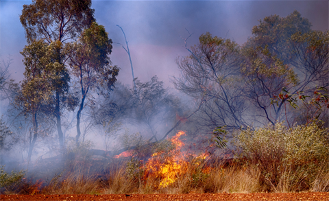 Bushfire.png