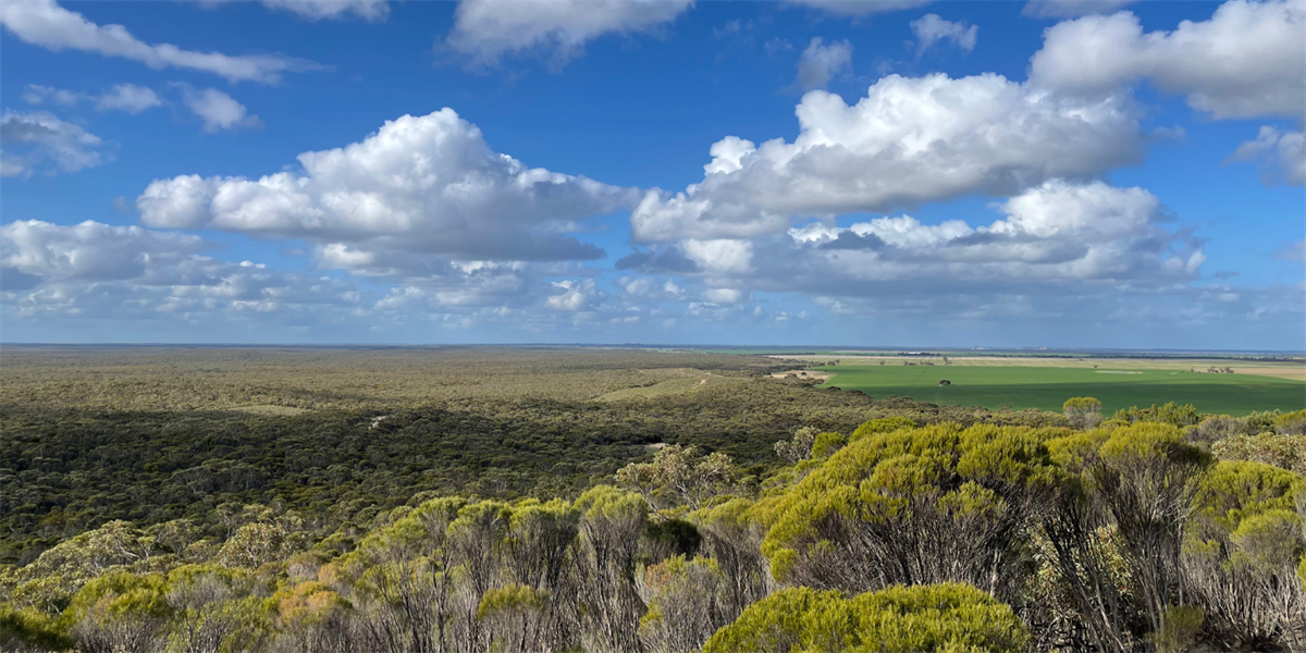 Herman's Hill Lookout Hindmarsh Shire Council