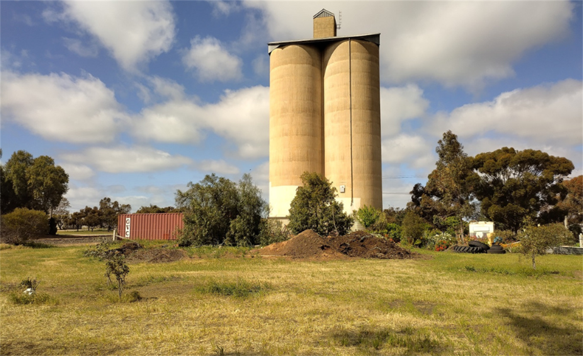 Llew Schilling Silo Drop In.png