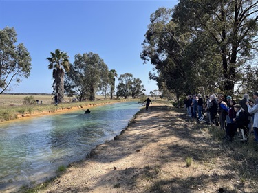 Bindarra Park