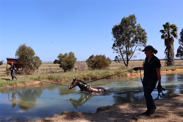 Bindarra Park