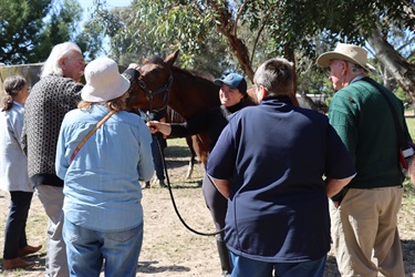 Bindarra Park